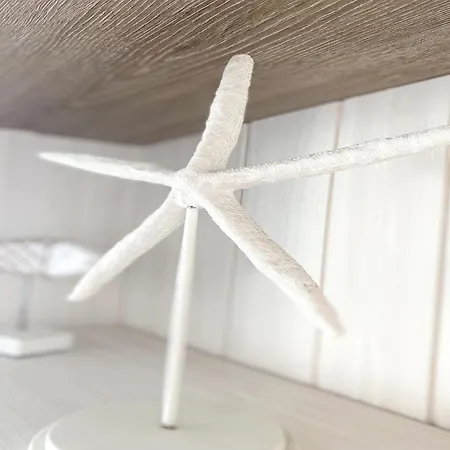 Near The In Vibrant Area Daire Middelkerke