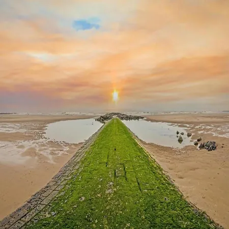 Near The In Vibrant Area * Middelkerke