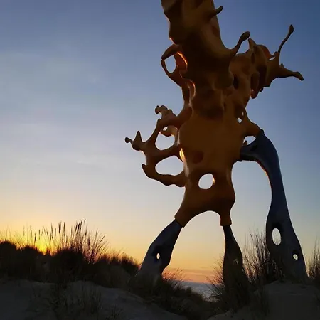 Near The In Vibrant Area