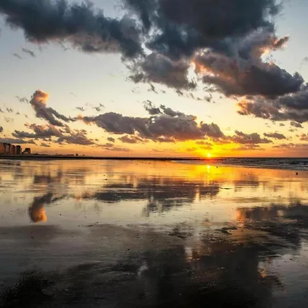 Near The In Vibrant Area *