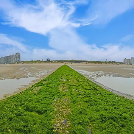 Near The In Vibrant Area