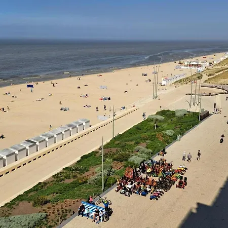 Near The In Vibrant Area Daire Middelkerke