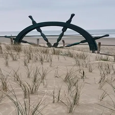 Near The In Vibrant Area *