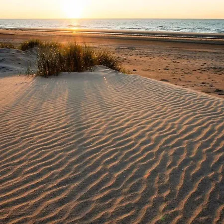 Near The In Vibrant Area Daire *