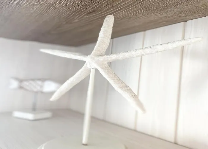 Near The In Vibrant Area Daire Middelkerke