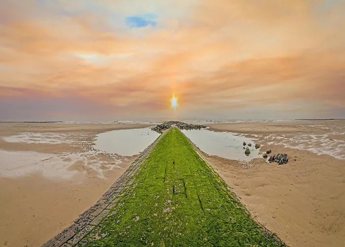 Near The In Vibrant Area * Middelkerke