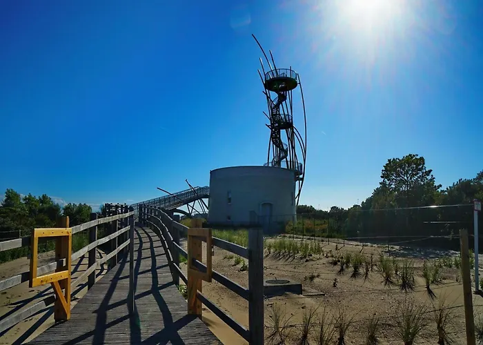 Near The In Vibrant Area Daire