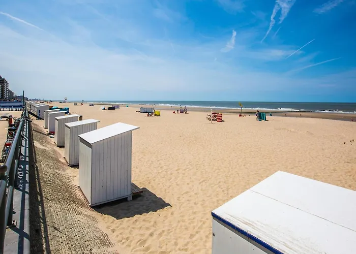 Near The In Vibrant Area Middelkerke