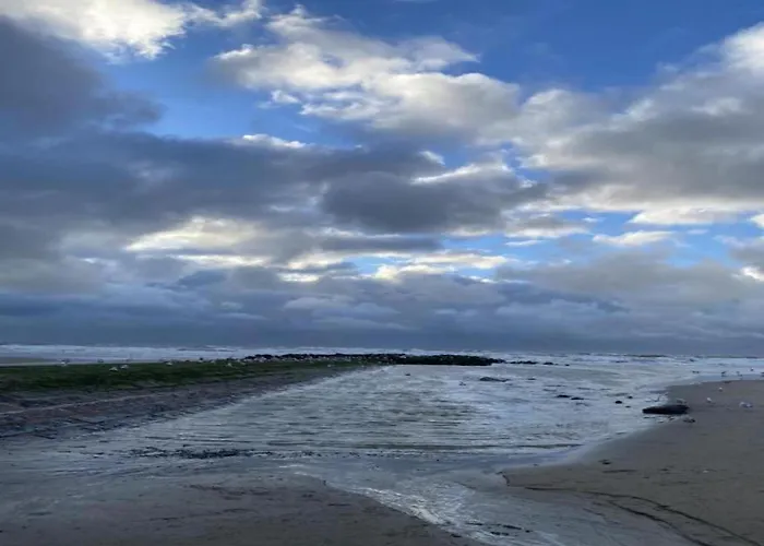 Near The In Vibrant Area Daire