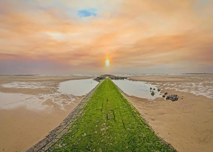 Near The In Vibrant Area * Middelkerke