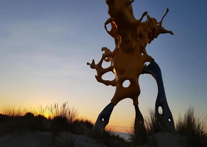 Near The In Vibrant Area