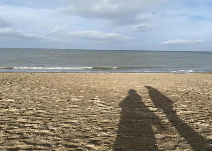 Near The In Vibrant Area Middelkerke