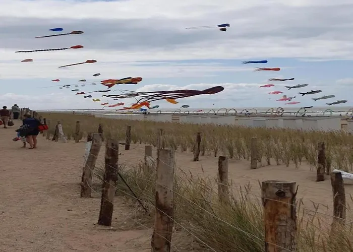 Near The In Vibrant Area * Middelkerke