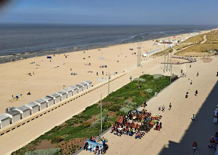 Near The In Vibrant Area Daire Middelkerke