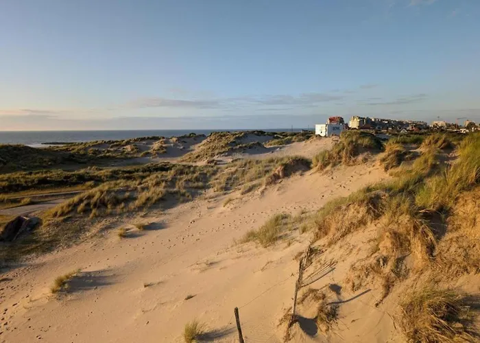 Daire Near The In Vibrant Area