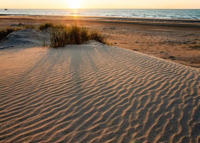 Near The In Vibrant Area Daire *